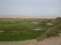 gobi_10