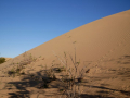 gobi_16
