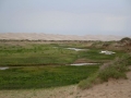 gobi_10