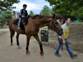 naadam_2011_13